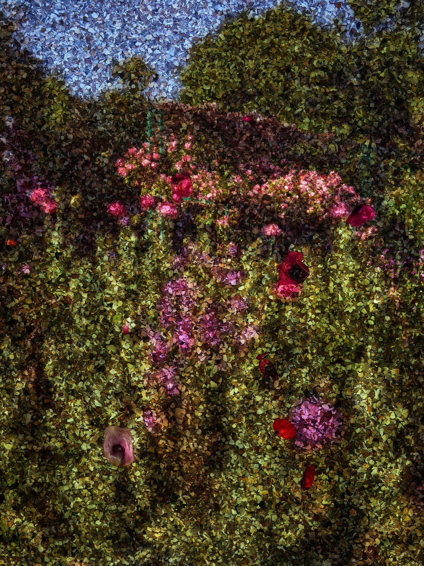 Tent-Camera Image: View of Monet's Garden #1, Giverny, France