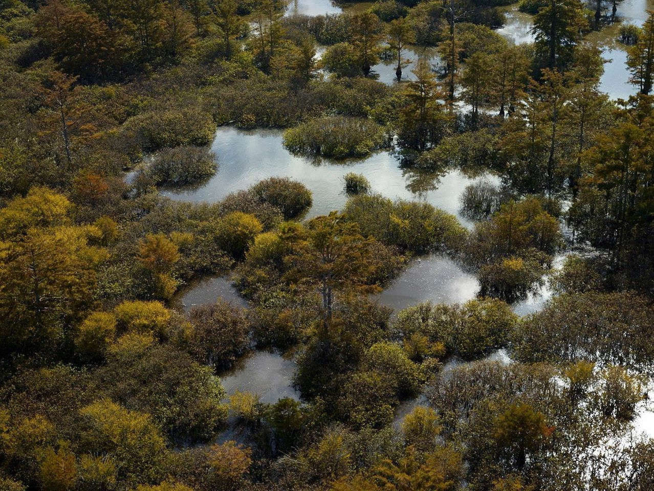 Beaver Dam Lake 2, Tunica, MS
