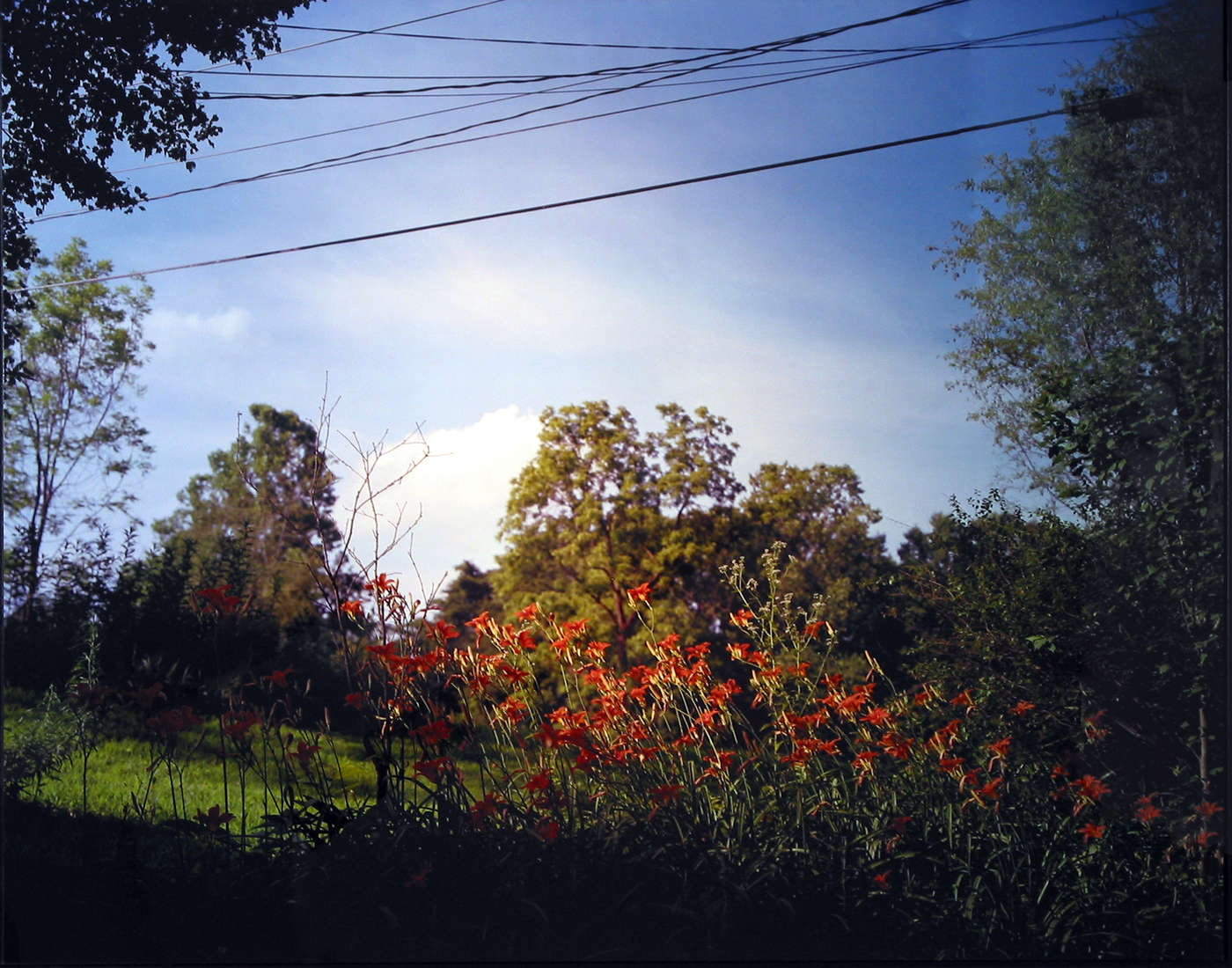 My 33rd Spring #4 (Day Lillies)