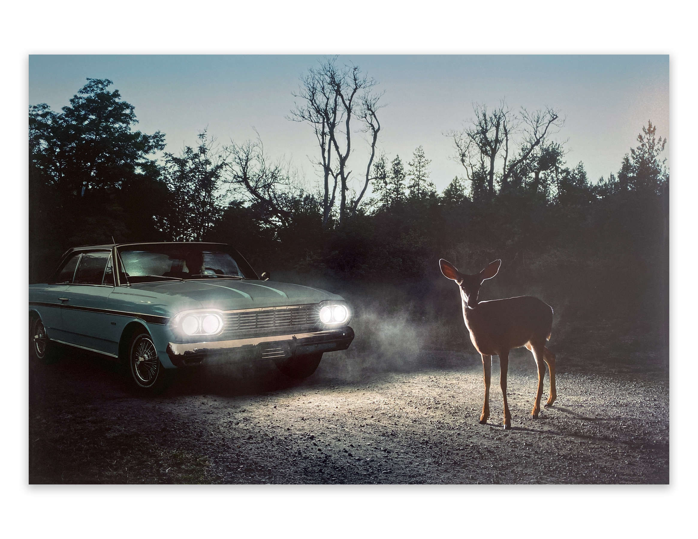 Muscle Beach, Los Angeles