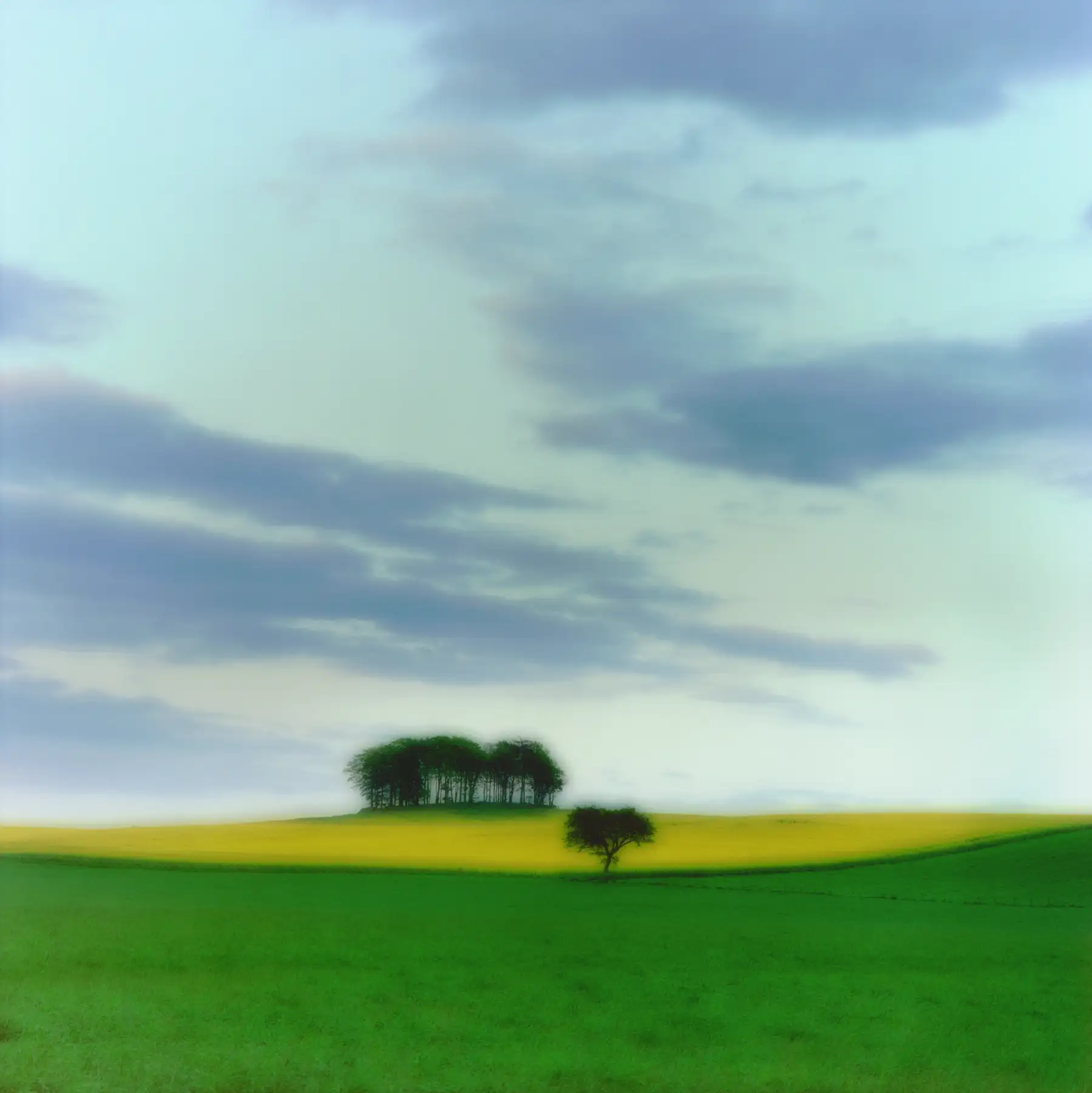 Tayside, Scotland, (6-94-21c-1)