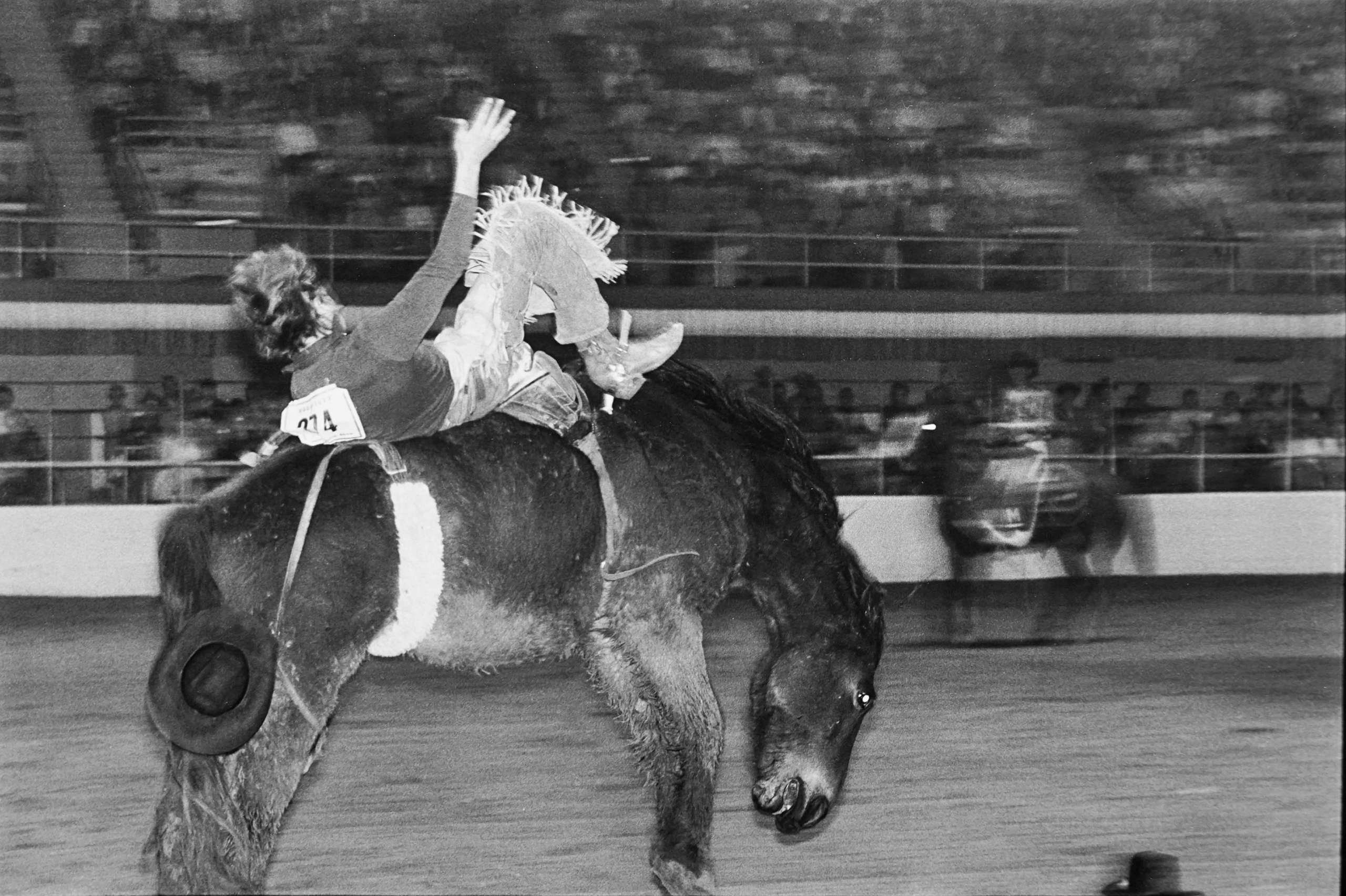 Cowboy, Hat on Edge of Frame, Rodeo