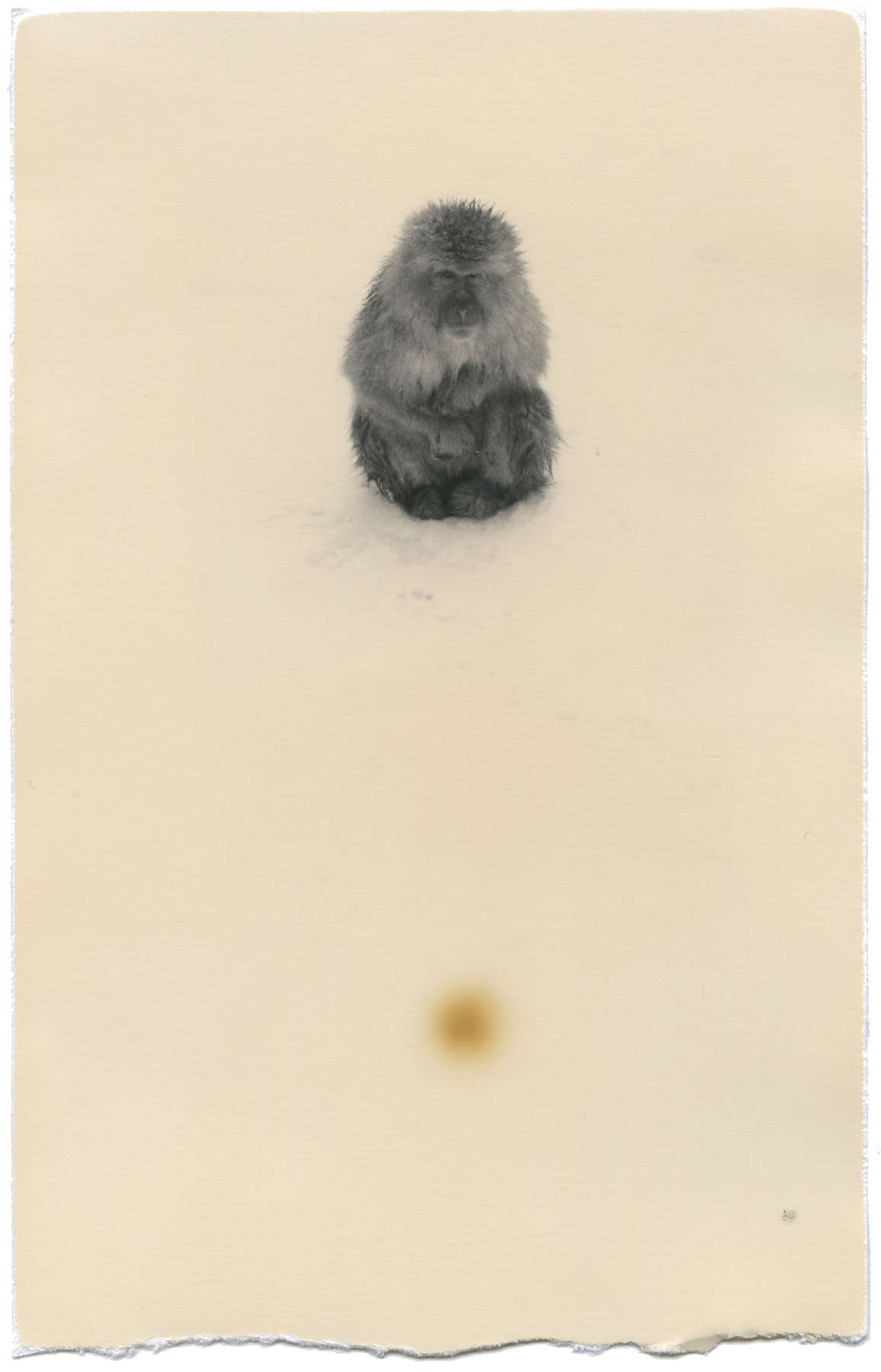 Masao Yamamoto, Nakazora #1254
