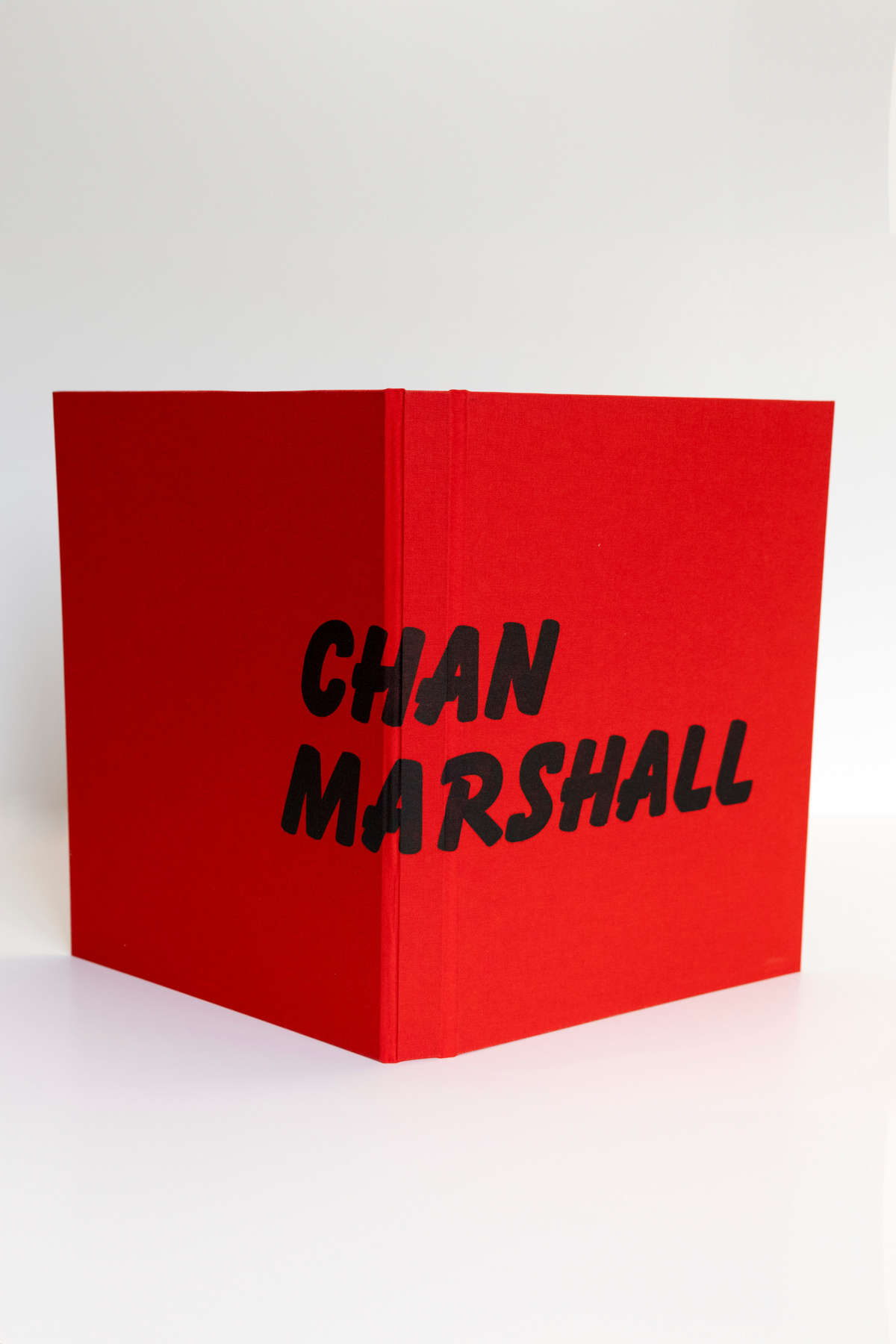 Michael Stipe, Chan Marshall, Book Cover, 2020