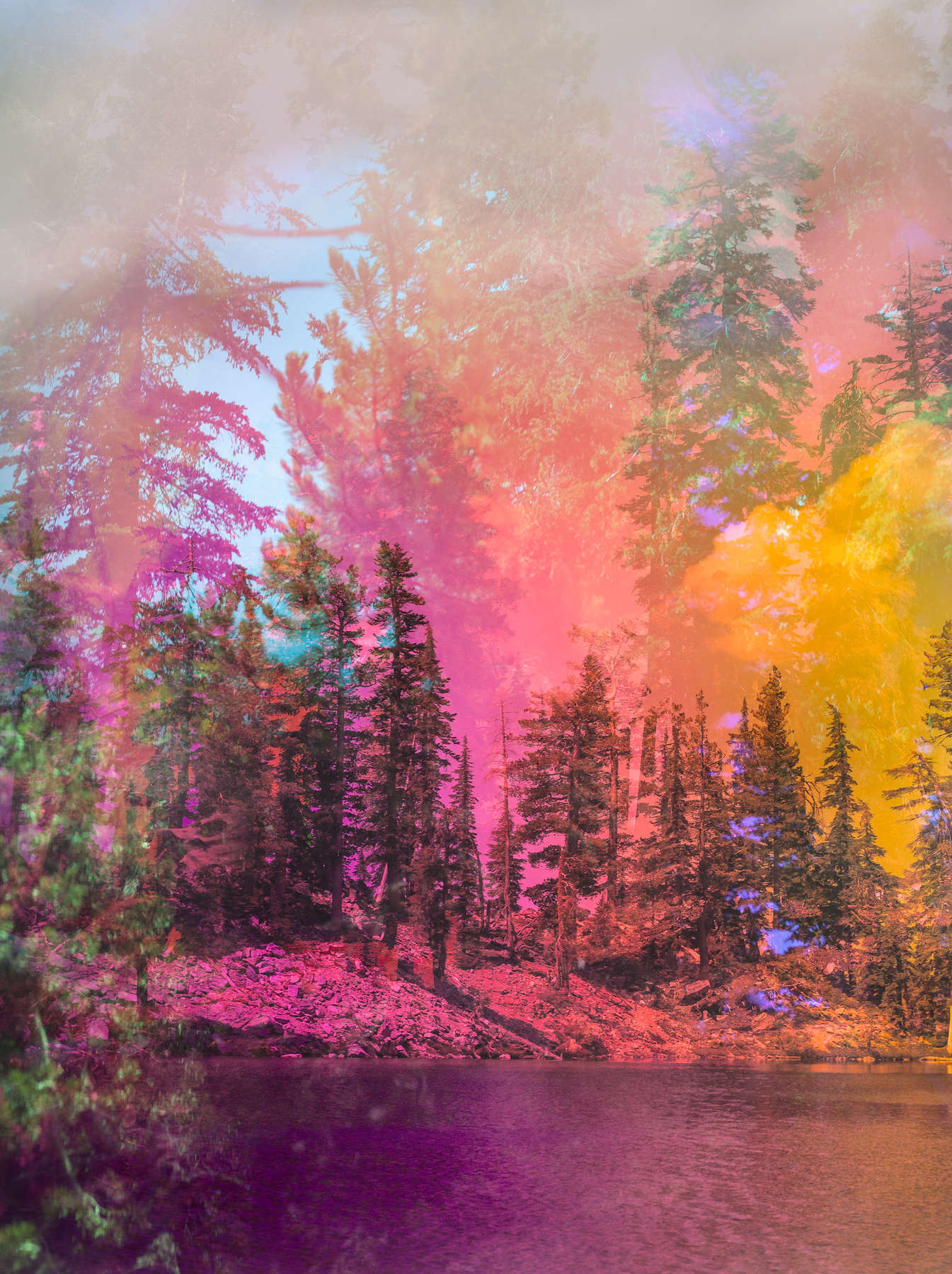 Psychscape 493 (Lassen, CA)