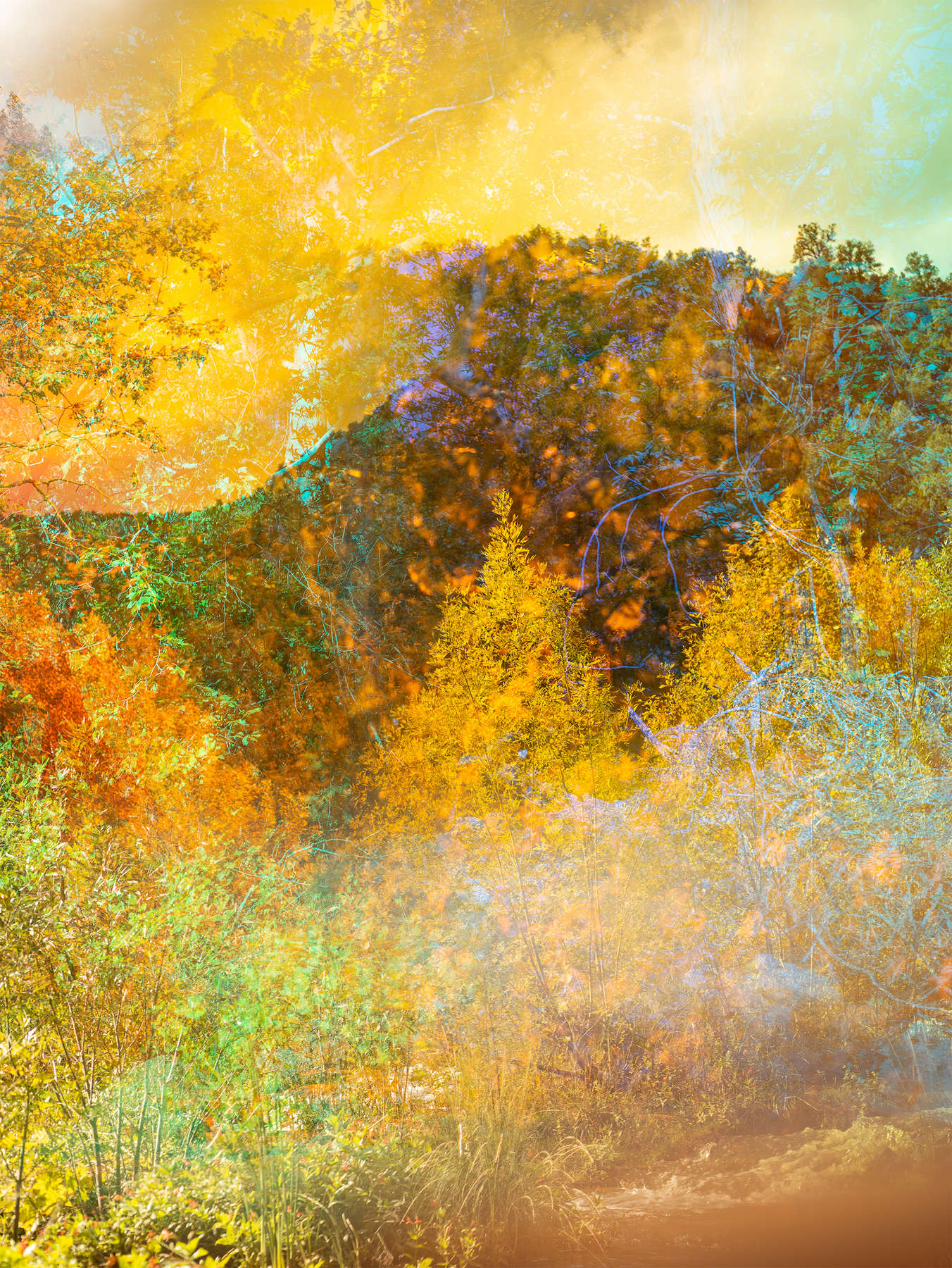 Psychscape 72 (Fossil Creek, AZ)