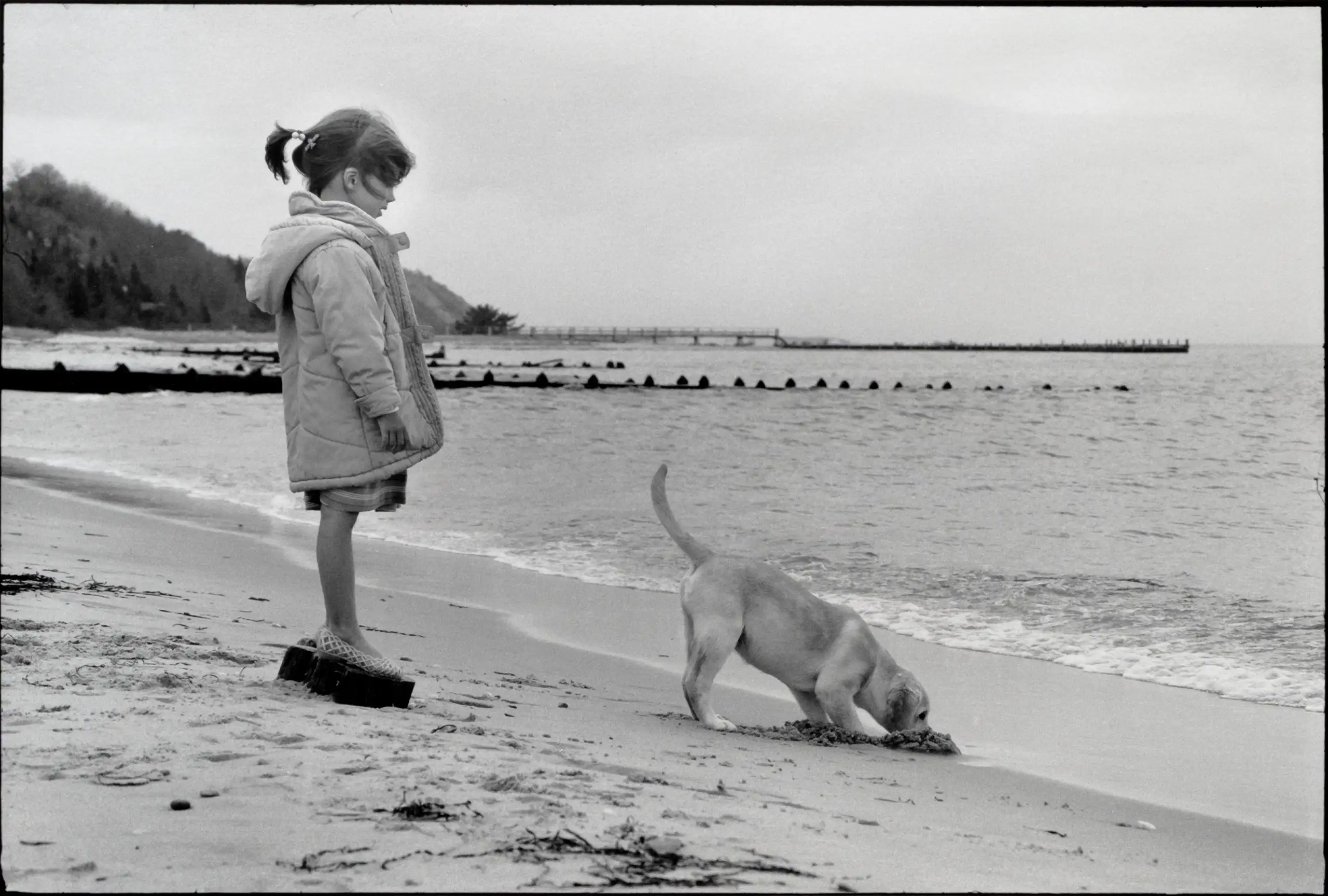 Amagansett, New York