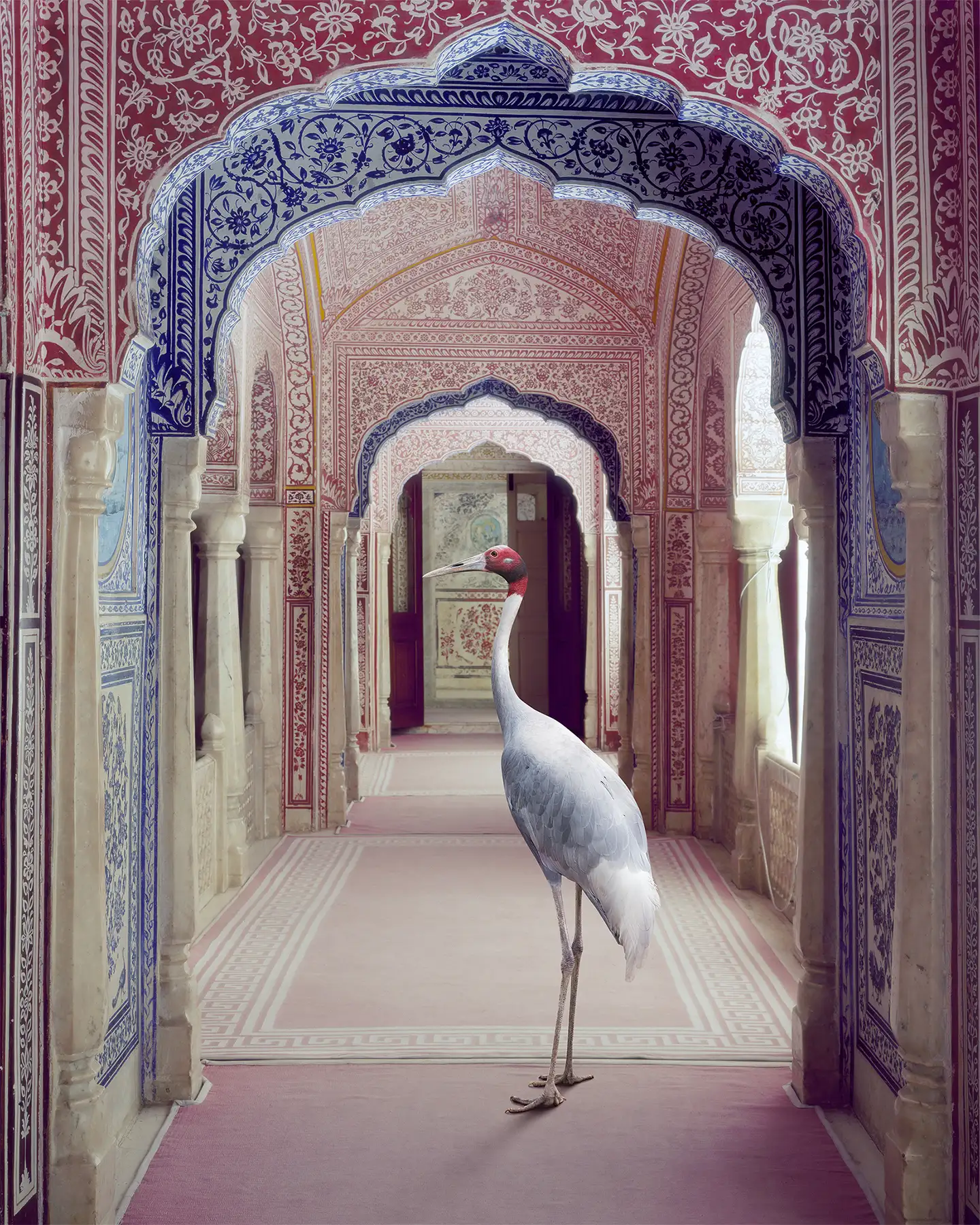 A Faithful Companion, Samode Palace