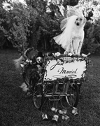 The Bride and Groom, Dog Wedding for Vogue, Miami, Florida, 1998, Silver Gelatin Photograph