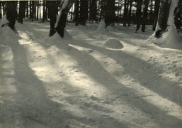 Snow &amp;amp; Silence, vintage carbro print, 4 1/2 x 6 1/2 inches