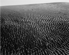 Seedlings, carbon pigment print