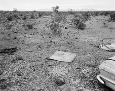 American, carbon pigment print