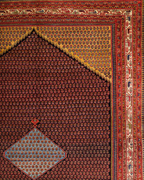 close up of saraband