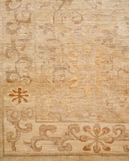 close up of coraline