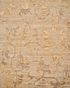 close up of coraline