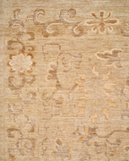 close up of coraline