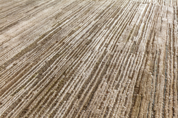 sleeping line 2 detail