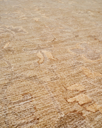 close up of coraline