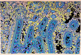 Jody Rasch, Inner Workings 8