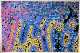 Jody Rasch, Inner Workings 6