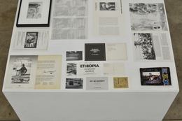 LIVING PROOF / LIVING ARCHIVES: Action / Artifact from Cirrus Gallery and Cirrus Editions