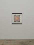 LIVING PROOF / LIVING ARCHIVES: Action / Artifact from Cirrus Gallery and Cirrus Editions