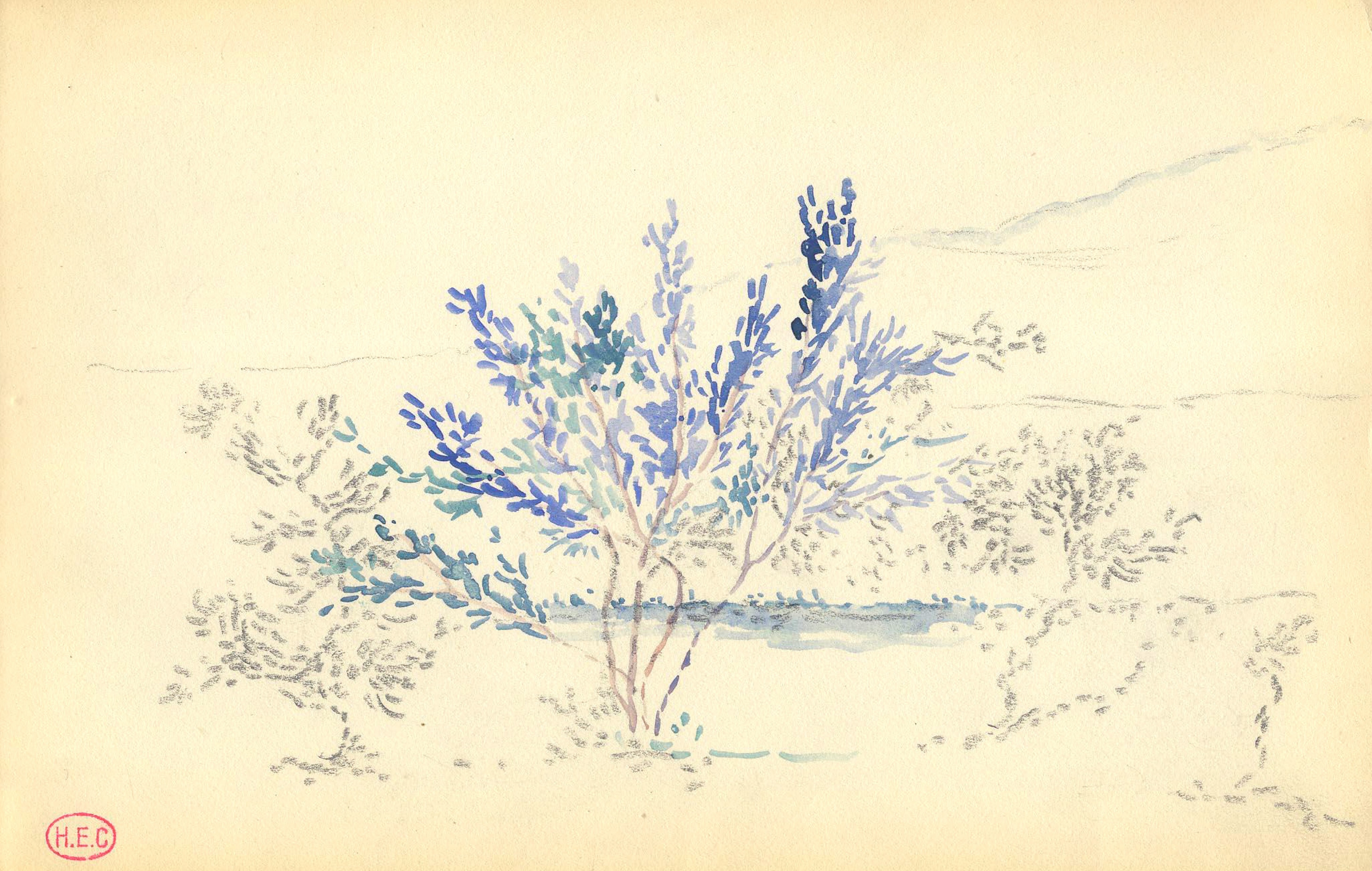 Trees  Watercolor on paper 6 3/4 x 10 3/8 inches