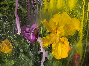 Denis Piel, Padi&egrave;scapes Series