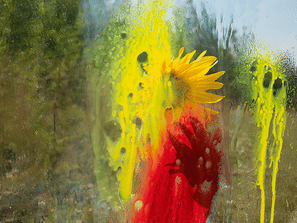 Denis Piel, Padi&egrave;scapes Series