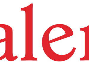 Discover 12 Standout Works at Art Basel Qatar 2026