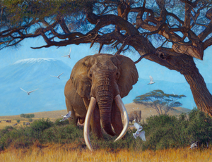 JOHN BANOVICH EXHIBITING AT SAFARI CLUB INTERNATIONAL 2026