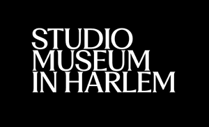 THE STUDIO MUSEUM IN HARLEM ANNOUNCES 2026 ARTIST IN RESIDENCE: DERRIANN PHARR