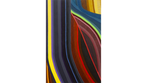 AMÉFRICA: DIASPORIC CONNECTIONS IN THE JORGE M. PÉREZ COLLECTION EXHIBITING JUNE EDMONDS