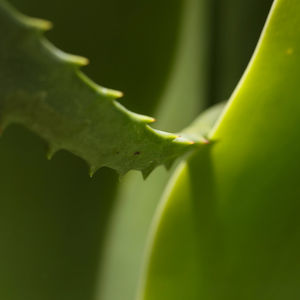 Untitled, 2013 Photograph 200x100