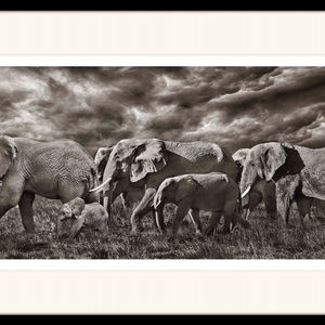 Timothy Dunn, Lucky number seven, 2019