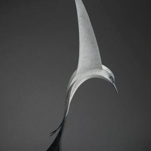 Paul Harvey, Tern Diving