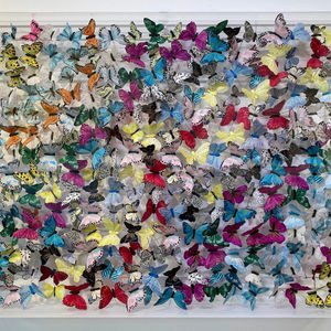 Michael Olsen, Pale Clouded Yellow II, 2022