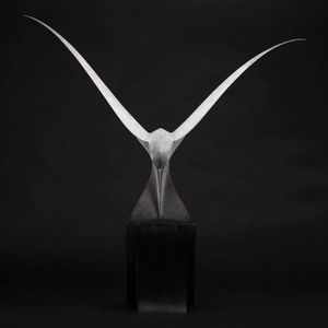 Paul Harvey, Tern Diving