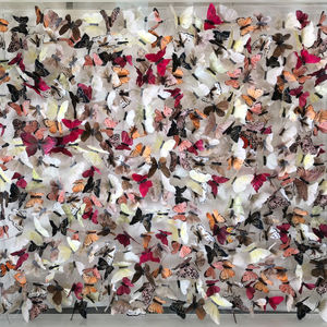 Michael Olsen, Short Tailed Blue II, 2019