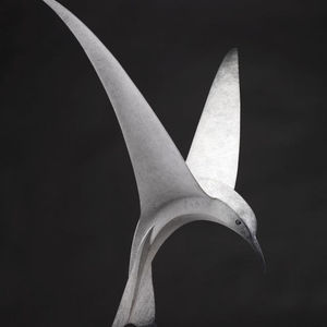 Paul Harvey, Tern Diving