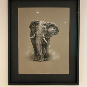 John Green, I’m in charge, 2021