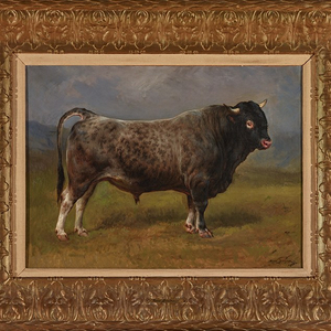 THE GREY BULL (LE TAUREAU GRIS)