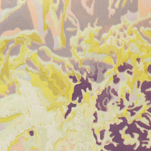 Fiona Van Oyen, Beneath the surface (embodied) II, 2024