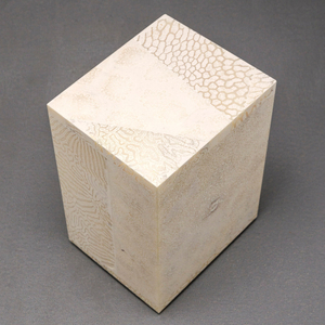 Chauncey Flay, Seawall #41, 2024