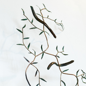 Bing Dawe, Streamside Reflection - Okuti River with Tunariki and Ribbonwood, 2024