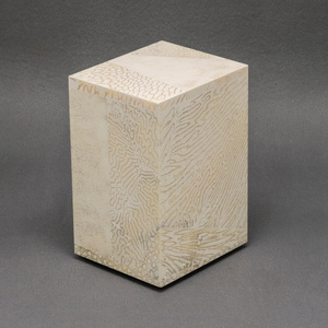 Chauncey Flay, Seawall #41, 2024