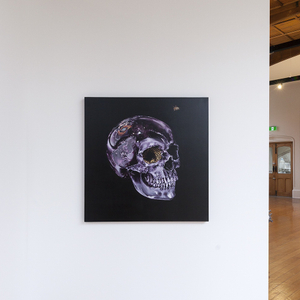 Lucy Dolan Kang, Crystal Skull, 2015