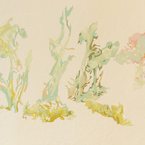 Fiona Van Oyen, From weeds the Kahikatea will stand, 2024