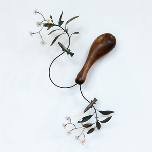 Bing Dawe, From the Constellation Aquarius - Container with Galaxiidae and Streamside Daisy, 2024