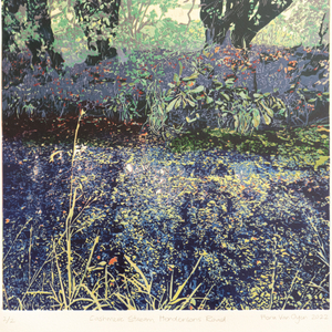 Fiona Van Oyen, Cashmere Stream, Hendersons Road, 2022